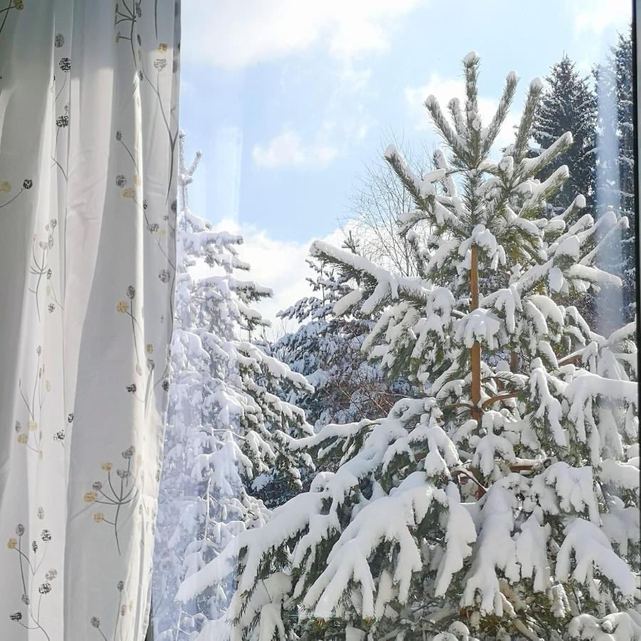 Hiona Apartment Kopaonik Bagian luar foto