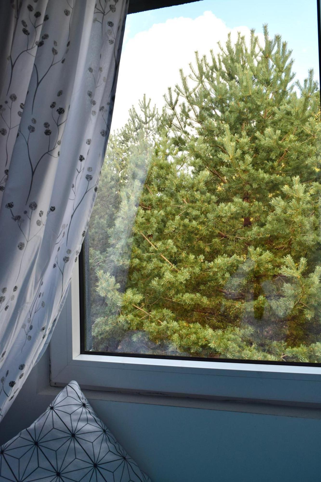 Hiona Apartment Kopaonik Bagian luar foto